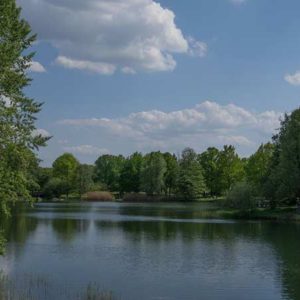 See in grüner Parklandschaft