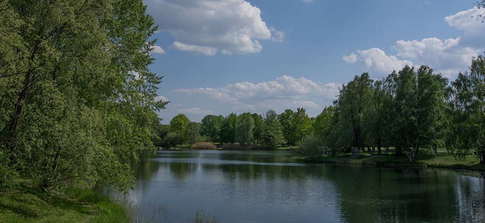 See in grüner Parklandschaft