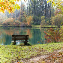 55plus Wandern und Spazieren Oktober + November