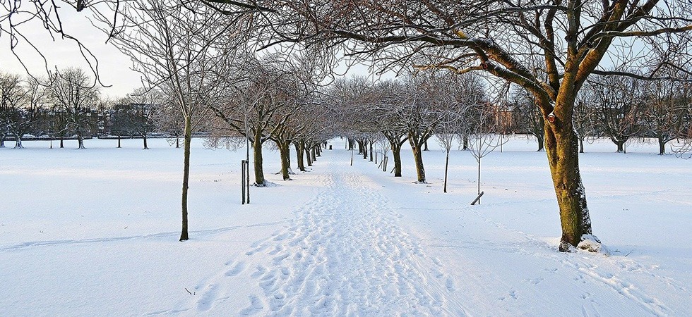 Winterliches Wandern und Spazieren bei 55plus. Gruppenaktivitäten