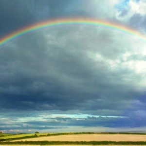 Regenbogen