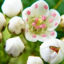 Neu:  SeniorInnenKreis 60+