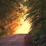 55plus Wandern und Spazieren April + Mai