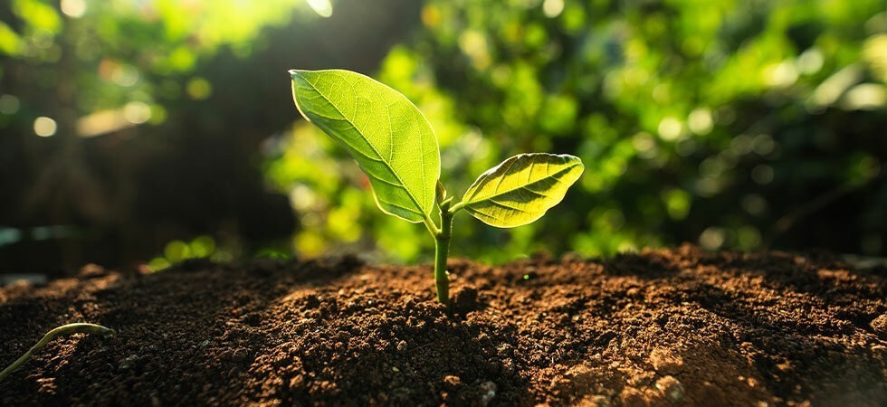 Klimafasten - Fastenaktion für den Klimaschutz