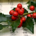 Weihnachtskonzert