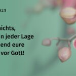 Monatsspruch-Juli-2025