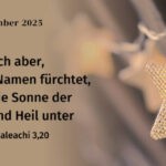 Monatssprüche 2025 – 12