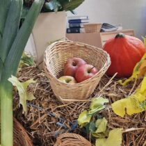 Das war unser Erntedankfest