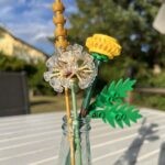 IMG_8776