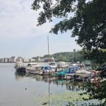 Mit 55+ im August nach Hermannswerder IMG-20260809-WA0006